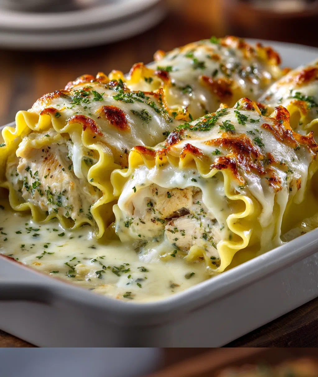chicken alfredo lasagna rolls